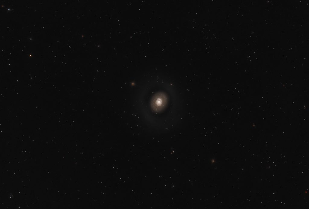 Galassia M94 nella costellazione dei Cani da Caccia. Sky Watcher 200/800 f4, ZWO 294 Pro, Optolong L-pro su AZEQ6-GT. Pose da 120 secondi guidate.
