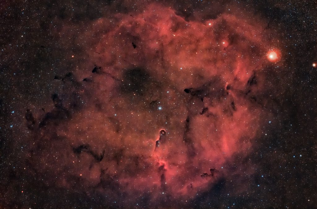 A circa 3000 anni luce dalla Terra, nella costellazione del Cefeo, si trova la nebulosa Proboscide d'elefante. Fotografia con rifrattore apocromatico Tecnosky