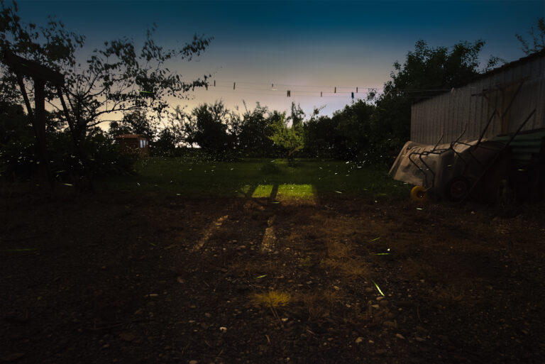 Fotografia Notturna alle Lucciole​