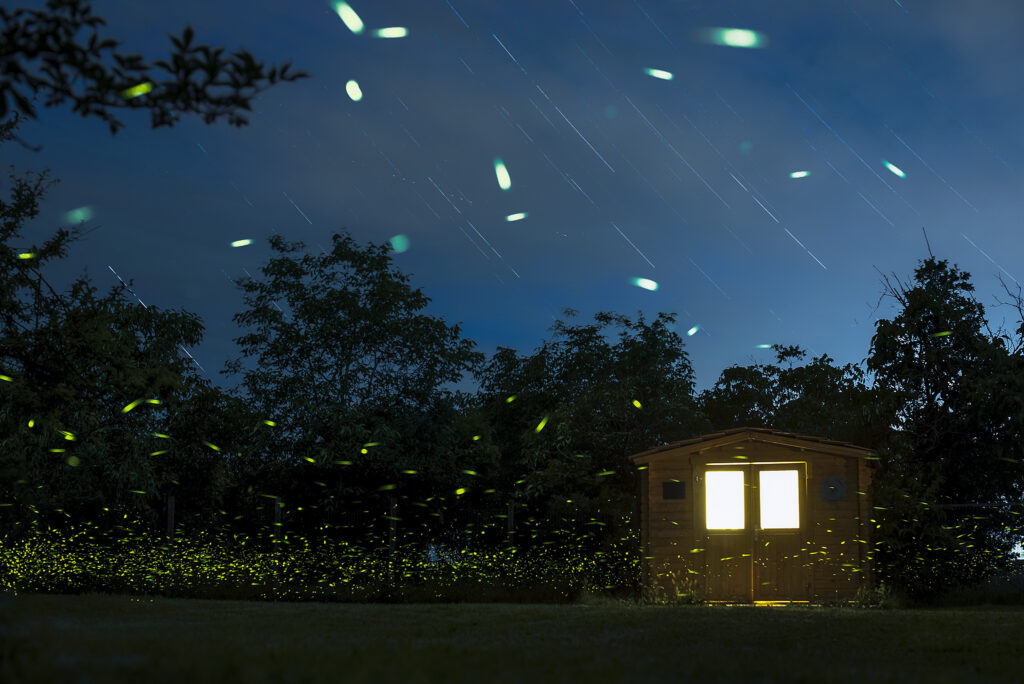 Fotografia notturna a Lucciole e Star Trail