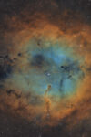 Nebulosa Proboscide di Elefante IC 1396 Hubble Palette SHO con H-Alpha, Oiii e Sii Antlia da 3nm e 3.5nm e Askar ACL200 APO 50mm F/4.0 e ASI 294MM