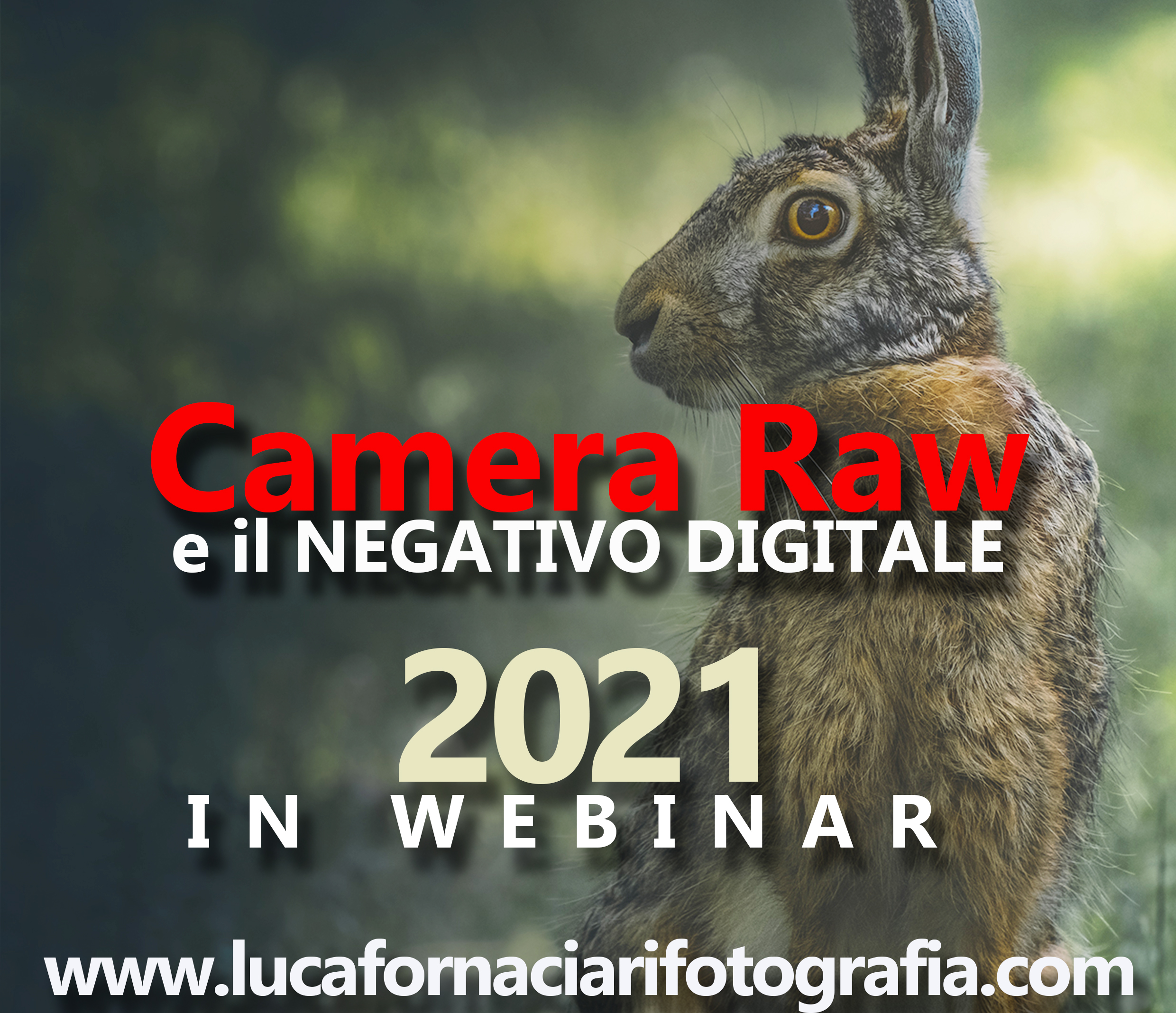 Camera Raw: sviluppo e comprensione del negativo digitale