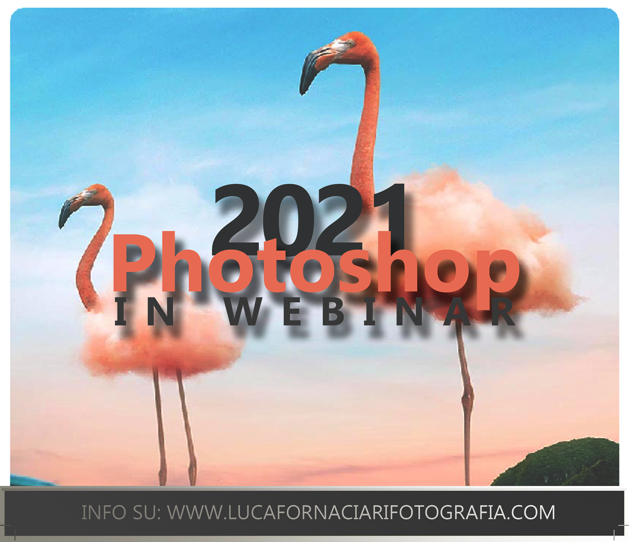 Photoshop e Camera Raw in pratica: il corso per principianti