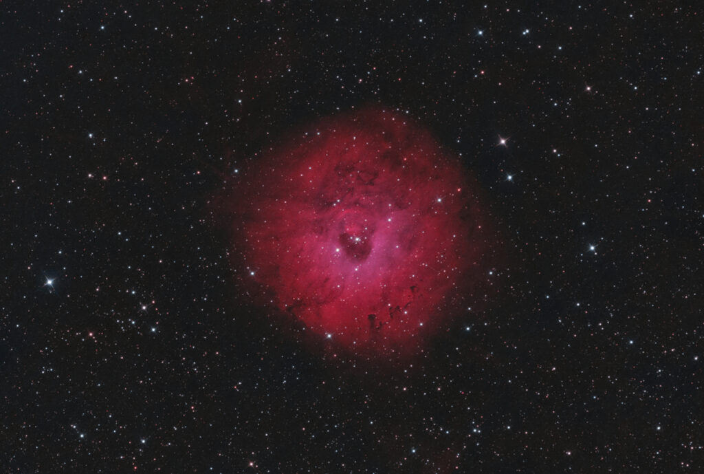 Sh2-170 Little Rosette Nebula Nebulosa Piccola Rosetta, nella costellazione di Cassiopea - Bicolor HOO (Ha:OIII) con Sky-Watcher 300 f/4 e ASI 294MM