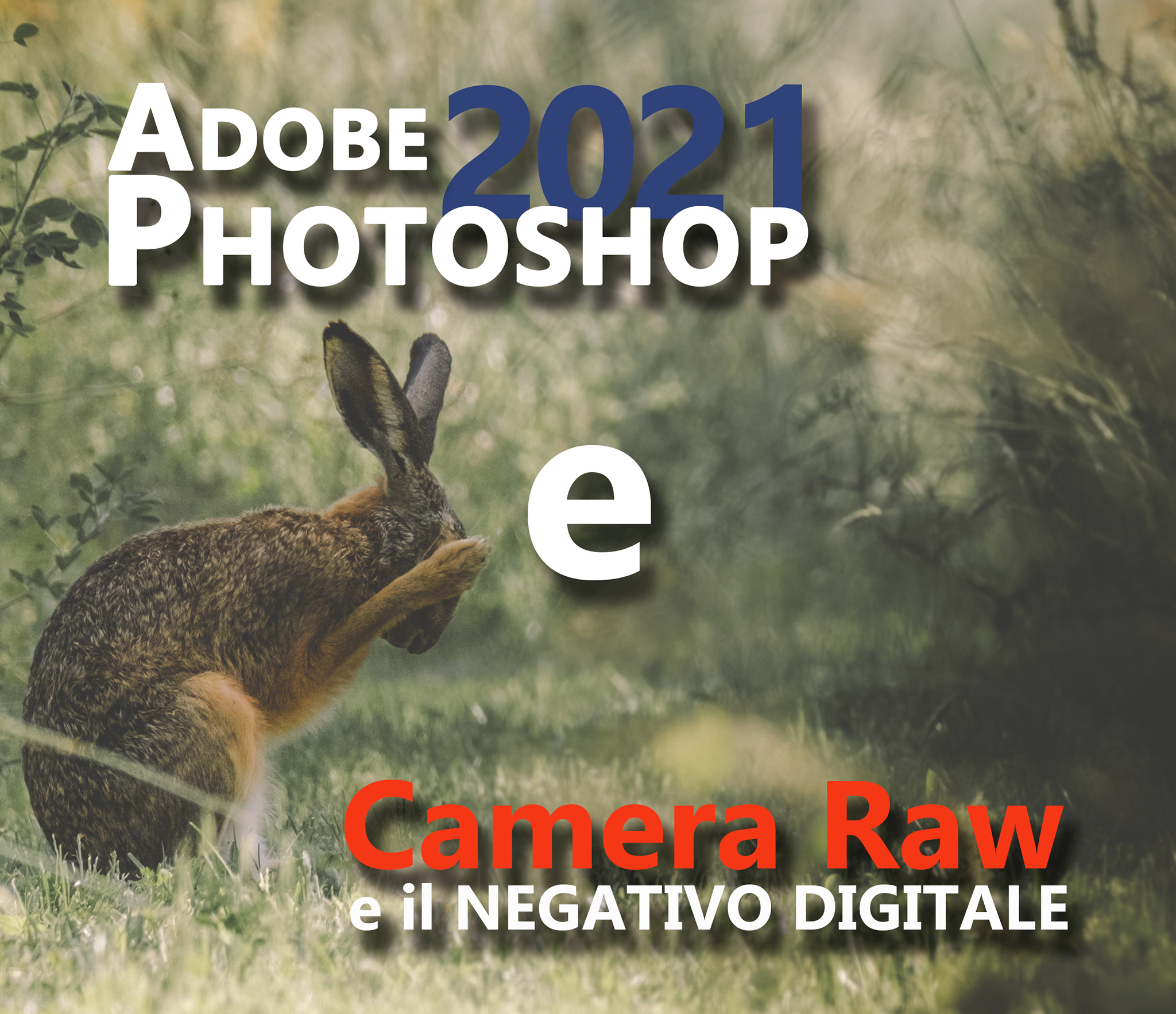 Photoshop e Camera Raw in pratica: il corso per principianti