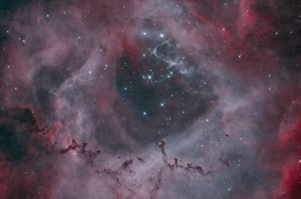 Nebulosa Rosetta Caldwell 49 in bicolor HOO (ngc 2237 ngc 2238 ngc 2246 ngc 2239 ngc 2244)