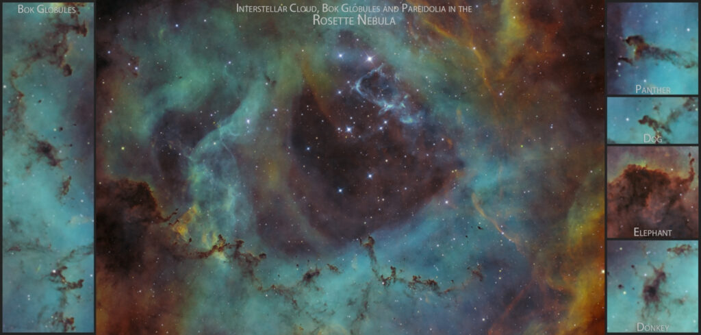 Nebulosa Rosetta Caldwell 49 in Hubble Palette SHO (ngc 2237 ngc 2238 ngc 2246 ngc 2239 ngc 2244) pareidolia globuli di bok pantera asino elefante cane animali polveri