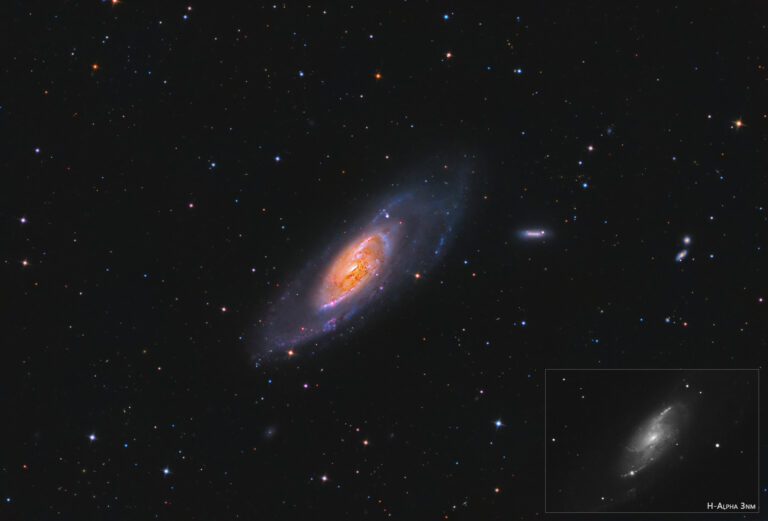 Galassia M 106 in HaLRGB con Sky-Watcher 300 f/4 e ASI 294MM h-alpha monocromatica ha luminanza newton optolong rgb 3nm antlia zwo Astrofotografia sulla Galassia M 106 in HaLRGB