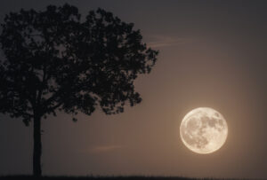 Fotografia alla Luna in HDR paesaggistica notturna La superluna e la fotografia lunare HDR
