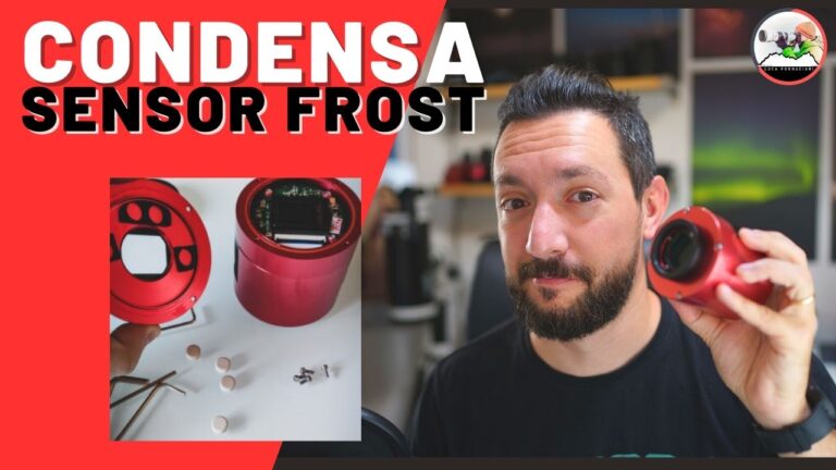 Condensa sensor frost e sostituzione della pastiglie nelle camere ZWO 294 533