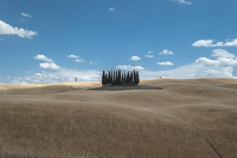 Cipressi di San Quirico d'Orcia - Val d'Orcia Fotografia in Val d'Orcia