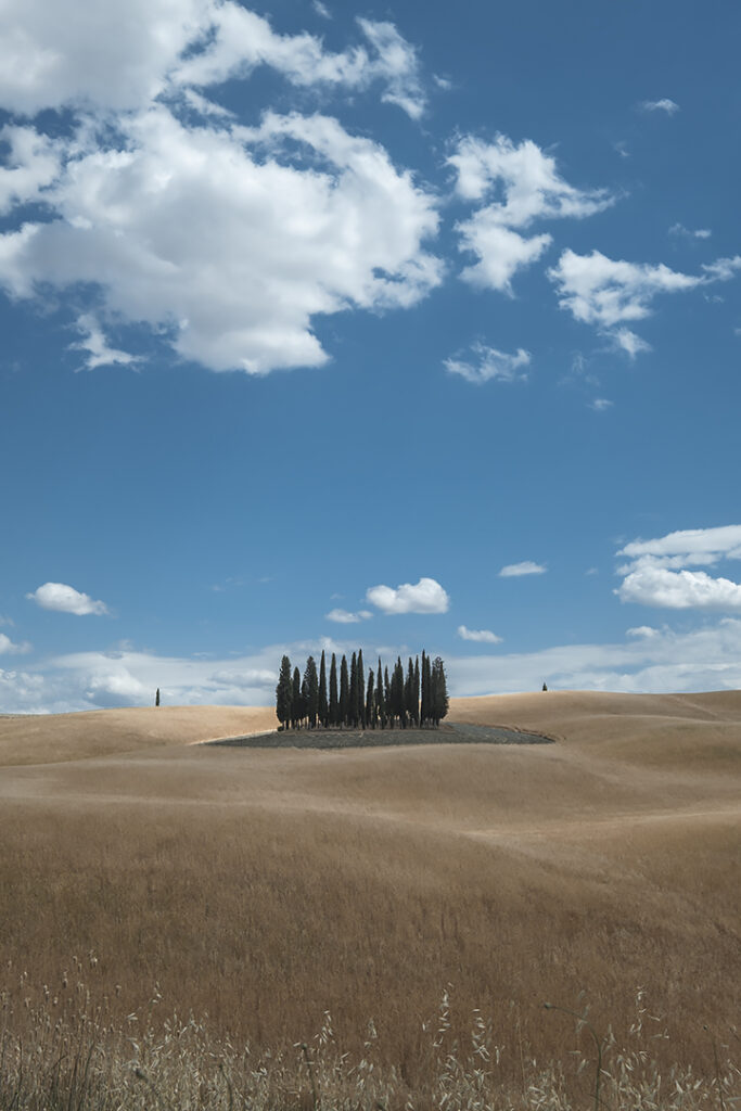 Cipressi di San Quirico d'Orcia - Val d'Orcia