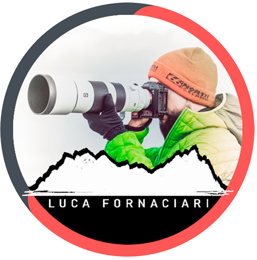 Luca Fornaciari Logo