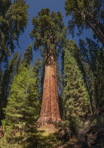 _DSC5051-Pano