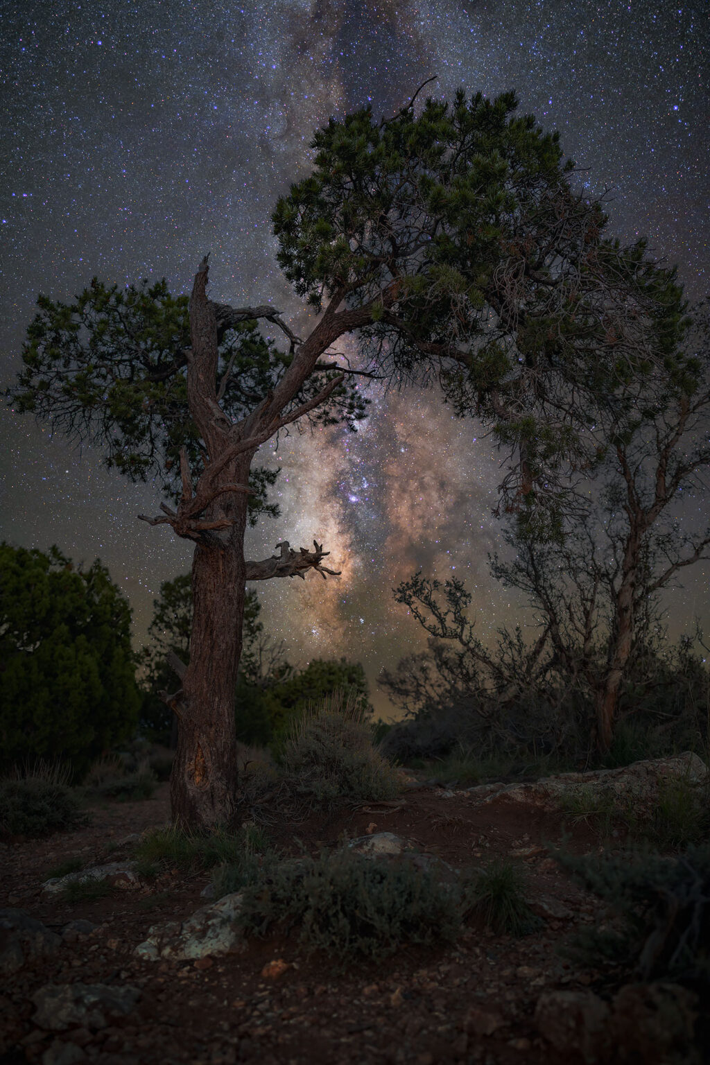Via Lattea al Grand Canyon astrofotografia parchi americani e route 66 Astroinseguitore Omegon MiniTrack: recensione e fotografie alla Via Lattea