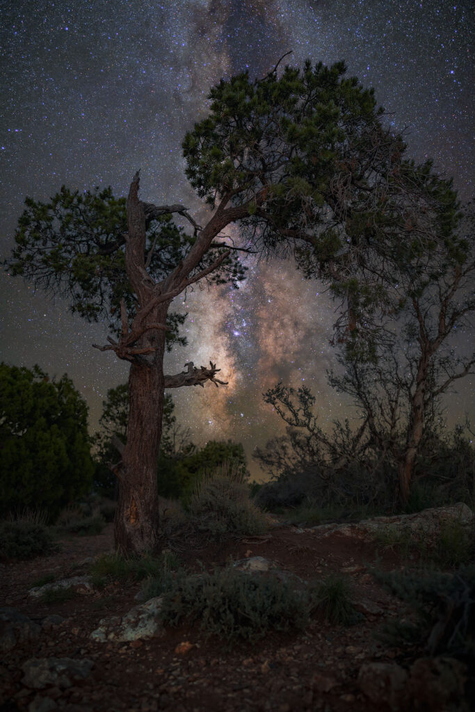 Via Lattea al Grand Canyon astrofotografia parchi americani e route 66