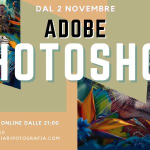 Photoshop in pratica: corso base completo