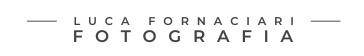 Luca Fornaciari Logo